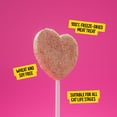 thumbnail image 3 of BONKERS Purrpops Freeze-Dried Salmon Flavoured Lollipop Treats for Cats, 4 pack, 3 of 11