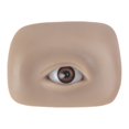 thumbnail image 2 of LEEYNEER Eyebrow Tattoo Fake Skin Realistic 5D Textured Easy to Color Elastic Feel Silicone Artificial Eye Model Stereoscopic Practice Skin Beginner Supply Transparent, 2 of 13