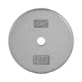 thumbnail image 1 of CAP Barbell Standard 1-Inch Cast Iron Weight Plate, 12.5 lb, Single, Grey, 1 of 4