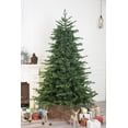 thumbnail image 2 of 9 Foot European Balsam Fir Artificial Christmas Tree Pre-lit with Dual Color LED Lights. (9ft Pre-lit), 2 of 5
