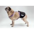 thumbnail image 3 of Bande Ventrale pour Chien Lavable WONDERSTM, 3 of 4