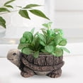 thumbnail image 4 of Pot de Jardinière Animal Collection d'Art pour Cour Étagère Tortue, 4 of 8