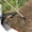 c, variante sur Liquidation Aujourd'hui! Outils Agricoles d'Extérieur, Pelle de Forge et de Désherbage, Outil de Jardin Robuste pour Planter des Légumes et des Fleurs, Petite Pelle et Pelle de Jardin pour la Maison Offres du Jour en Liquidation!