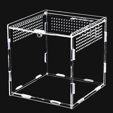 Enclos pour Araignées Sautantes, Enceinte de Micro-Habitat Assure une Observation Facile de Vos Animaux de Compagnie Tout en les Gardant en Sécurité dans un Terrarium Transparent pour Reptiles Qui Favorise un Assemblage Rapide et