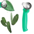 thumbnail image 3 of Cactus Peeler Spoon Multifunctional Long Handled Kitchen Peeler Ideal for Cooking and Food Preparation, 3 of 6