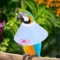 thumbnail image 3 of Pet Bird Collar Adjustable Recycling Collar Decoration to Prevent Biting Parrot Birds, 3 of 5