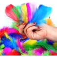 thumbnail image 1 of Plumes Colorées, Lot de 300 Plumes Naturelles Colorées pour Bricolage Artisanat Design d'Art Artisanat, 1 of 5