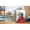 thumbnail image 2 of Ahgly Company Tapis Rectangulaire Rouge Lavable en Machine, 2 Pieds x 5 Pieds, 2 of 7
