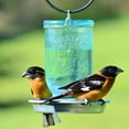 thumbnail image 3 of Perky-Pet Mason Jar Wild Bird Waterer, 3 of 7