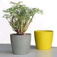 thumbnail image 4 of Nordic Style Flowerpot Plant Container Planting Tool Home Garden Decoration, 4 of 10