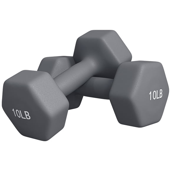 Soozier Ensemble d'Haltères Hexagonaux 2 x 10 Lb Paire de Poids pour Entraînement à Domicile