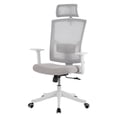 thumbnail image 1 of Ergonomic High Back Mesh Office Chair - Adjustable Headrest & Lumbar Support - Turnover-Up Arms - Swivel Wheels - Reclining Function, 1 of 8