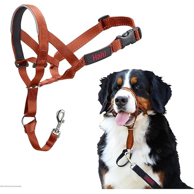 HALTI Headcollar Burnt Orange Size 4
