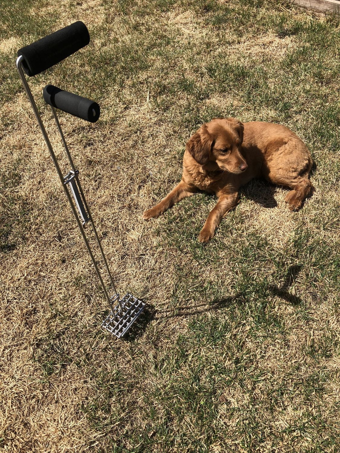 PooperPicker pour un ramassage facile et rapide des déchets de votre animal de compagnie