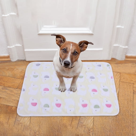 Reversible Soft Pet Bed Mat Comfortable Cushioned Support Pad Washable Durable Floor Crate Mat for Dogs and Cats