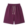 thumbnail image 1 of Plebaso Men's Big and Tall Shorts Elastic Waist Drawstring Casual Shorts Solid Color Loose Summer Shorts, 1 of 6