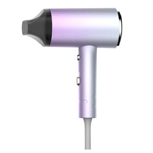 Birdeem Electric Hair Dryer High-Power Electric Hair Dryer Home Hair Dryer Hot Wind Comb Hair Salon Blowing Comb