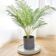 thumbnail image 4 of JWshufel Support Roulant en Plastique Robuste avec Roulettes Lisses et Silencieuses pour Grands Pots Mobiles Chariot pour Plantes avec Conception Respirante Résistance Durable Plateau de Stockage d'Eau, 4 of 6