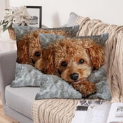 Amzcrzy Flock Pillowcase Bedspread & Coverlet Sets Cute Animals Print Pillow Set Bedroom Living Room Sofa Cushion 45X45 Cm for Sofa Living Room Decoration Bedding Bedding Comforter Sets Bedding Set