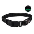 thumbnail image 2 of Dog LED Collar, Steady Mode Metal Clip Dog Luminous Collar Bite Resistant With USB Cable For Outdoor For Cats For Dogs Red,Green,Blue, 2 of 8
