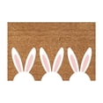 thumbnail image 1 of Summer Doormat Front Door Mat Rubber Non Slip Backing Funny Doormats Indoor Outdoor Rug for Indoor and Outdoor Use, Front Door, Farm House, Outside Porch, Entryway and Patio, 1 of 3