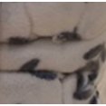 thumbnail image 2 of Ensemble de Draps en Polaire, 2 of 2