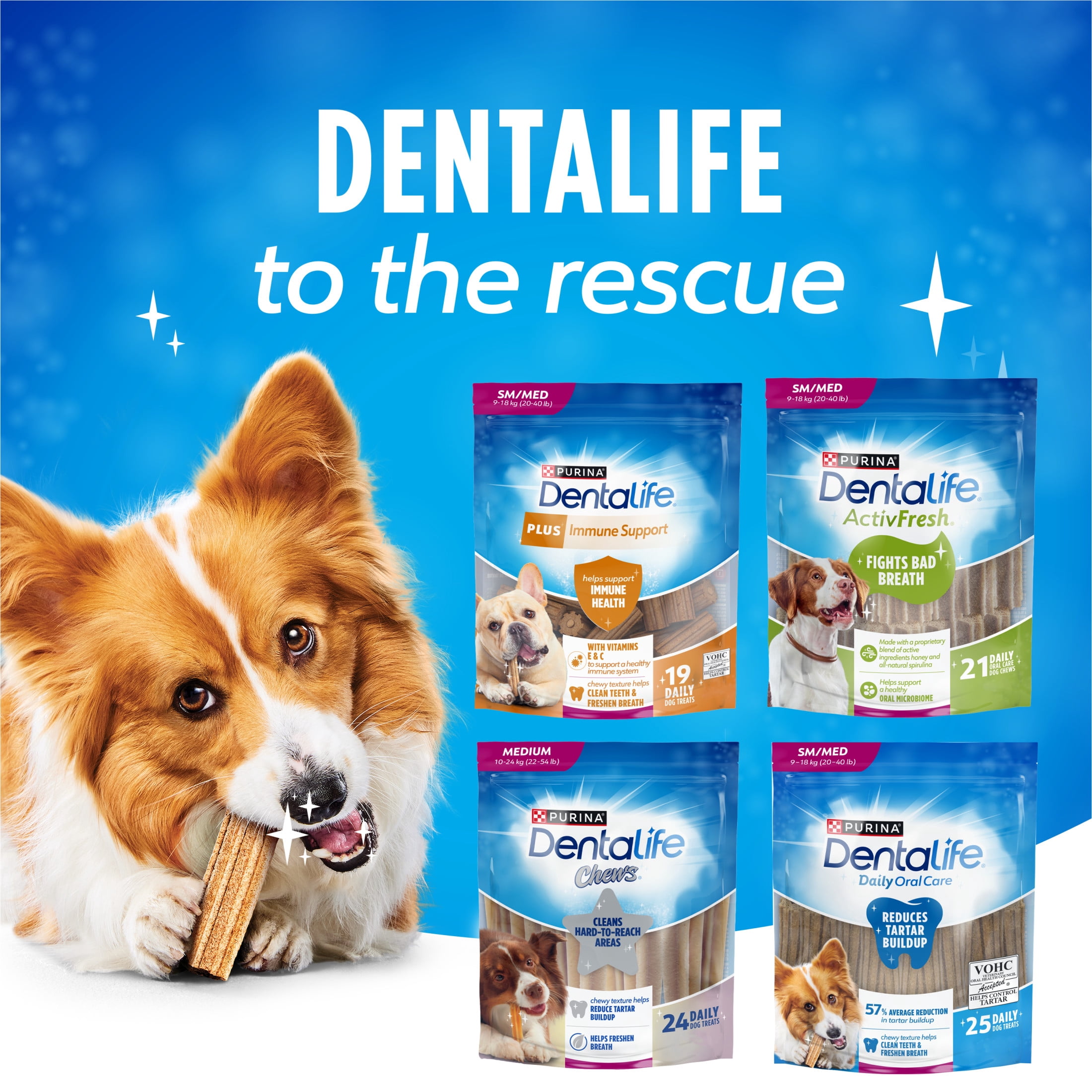 DentaLife Gâteries pour Chiens pour les Soins Buccodentaires Quotidiens pour Races Petites et Moyennes
