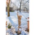thumbnail image 2 of Natural Burlap Winter Wrap 36" x 24', 2 of 7