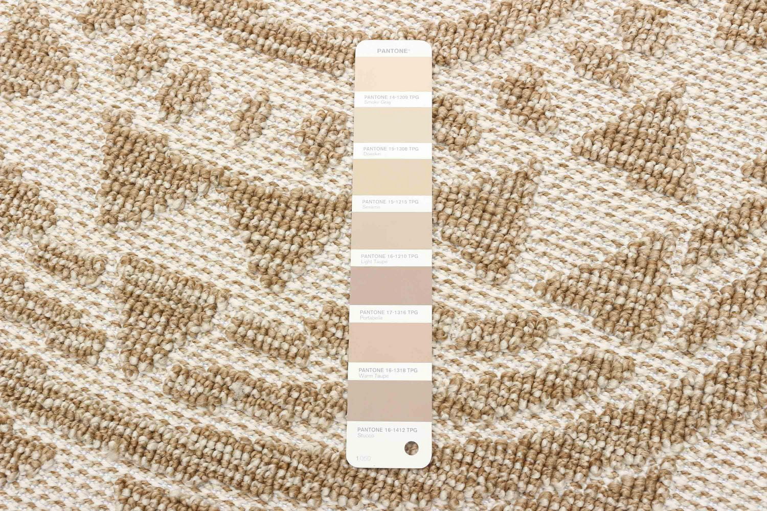 Tapis ECARPET Style Jute pour Chambre à Coucher, Salon