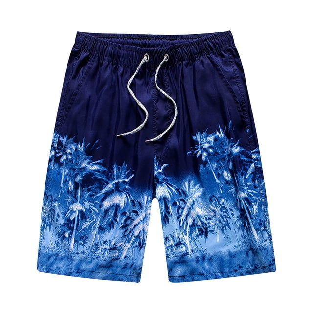LSLJS Shorts Décontractés pour Hommes Style Vacances Impression Spéciale Impression Plage Séchage Rapide. Shorts pour Hommes