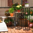thumbnail image 2 of Outsunny 3 Paquets Support pour Plantes Intérieur, Support pour Plantes en Métal, 2 of 10