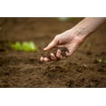thumbnail image 2 of Premium Garden Soil, 1-Cubic Yard for Garden & Bulk Landscape Projects, 2 of 3