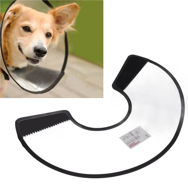 ANGGREK Collier Elizabeth pour Chien, Collier Conique en Plastique Réglable Translucide pour Guérison des Plaies