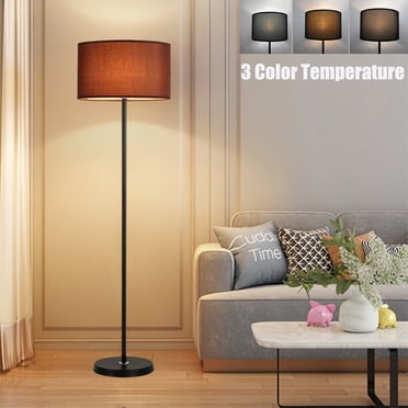 Susuzi Lampe sur Pied à Intensité Réglable avec Ampoule, Lampe sur Pied Moderne à DEL au Design Simple avec Abat-Jour pour Salon Chambre Lecture, Noir