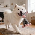 thumbnail image 4 of Durable Fall Themed Interactive Squeaky Chew Toy for Dogs of All Sizes, 4 of 4