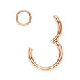 thumbnail image 1 of MesaSe Nose Rings for Women Surgical Steel Hypoallergenic Hinged Small Nose Ring, 1 of 5