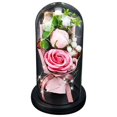 thumbnail image 1 of MesaSe Rose Gift Box with Glass Cover LED Light Gift for Valentine‘s Day Anniversary, 1 of 9