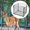 quadrilateral, variant on DYNWAVECA Deer Feeder Protective Guard Food Dispenser Guard Iron Portable Deer Feeder Varmint Guard for Outdoor Lawn Front Porch Garden quadrilateral