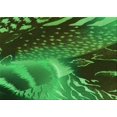 thumbnail image 1 of Ahgly Tapis Rectangulaire Lavable en Machine Intérieur Transitionnel Vert Forêt Foncé, 3 Pieds x 5 Pieds, 1 of 7