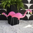 thumbnail image 3 of Allied Precision Lawn & Garden G-2 2 Count Pink Flamingos, 3 of 5