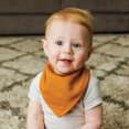 thumbnail image 3 of BANDANA BIBS P, 3 of 3
