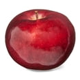 thumbnail image 2 of Macintosh Apple, 2 of 5