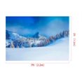 thumbnail image 3 of YUSDECOR 7x5ft Natural Scenery Background Winter Backdrops Snow Backdrops Photo Studio, 3 of 4