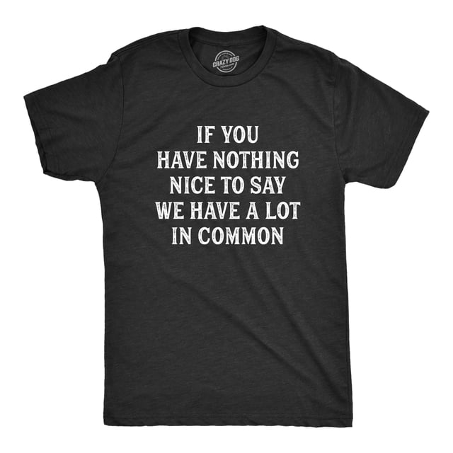 Mens If You Have Nothing Nice to Say We Have A Lot In Common T Shirt Funny Rude Joke Saying Tee for Guys (Heather Black - COMMON) - S