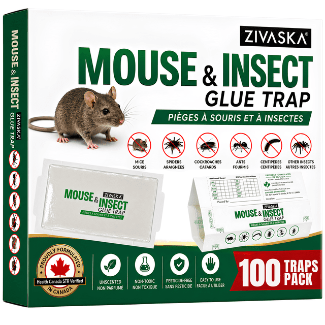 Pièges Adhésifs pour Souris, Pièges à Souris, Pièges à Colle pour Insectes – Piège à Souris, Pièges à Colle Pliables pour Souris, Planches de Colle Extra Collantes, Non Toxiques, pour Souris, Cafards, Araignées, Insectes Rampants
