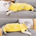 thumbnail image 2 of Combinaison de Récupération pour Chat après Chirurgie pour Femme Homme Pyjama Chirurgical pour Animaux de Compagnie Manches Longues Prévention de la Perte Combinaison Serrée & Col en E Alternative pour Chats, 2 of 6