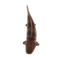 thumbnail image 4 of pitrice Realistic Static Ocean Animal Model Toy Kids Gift Spotted Dinosaur Fish, 4 of 9