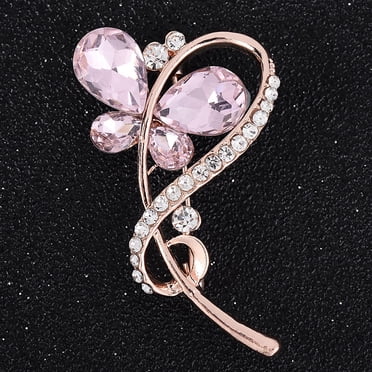 EGNMCR Brooches and Pins for Women Costume Brooch Exquisite Women'S Brooch Pin Shawl Buckle Women's jewelry