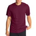 thumbnail image 2 of Hanes T-Shirt Sport Cool DRI Performance pour Hommes Lot de 2, TG, Marron, 2 of 4