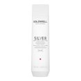 thumbnail image 2 of Goldwell Dualsenses Silver shampoo 10.1oz, 2 of 2
